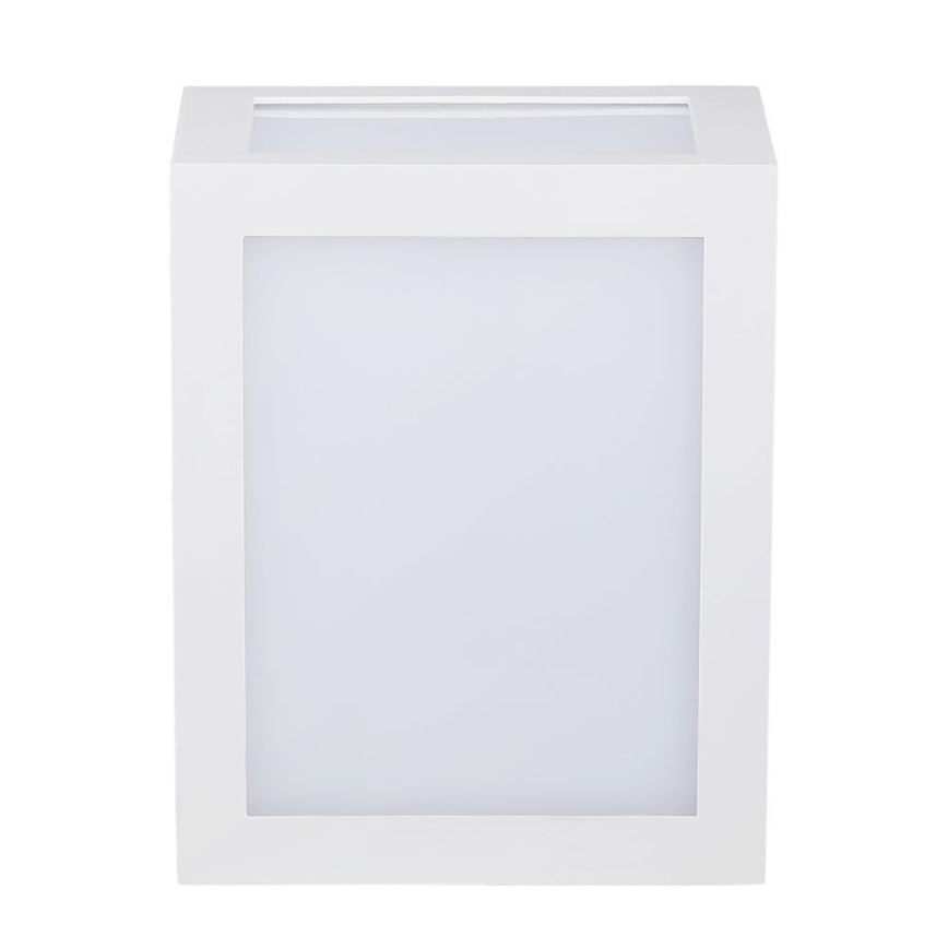 LED Spoljna zidna lampa LED/12W/230V IP65 4000K bela