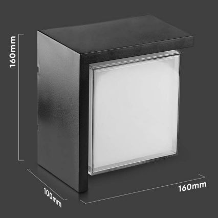 LED Spoljna zidna lampa LED/12W/230V IP65