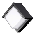 LED Spoljna zidna lampa LED/12W/230V IP65