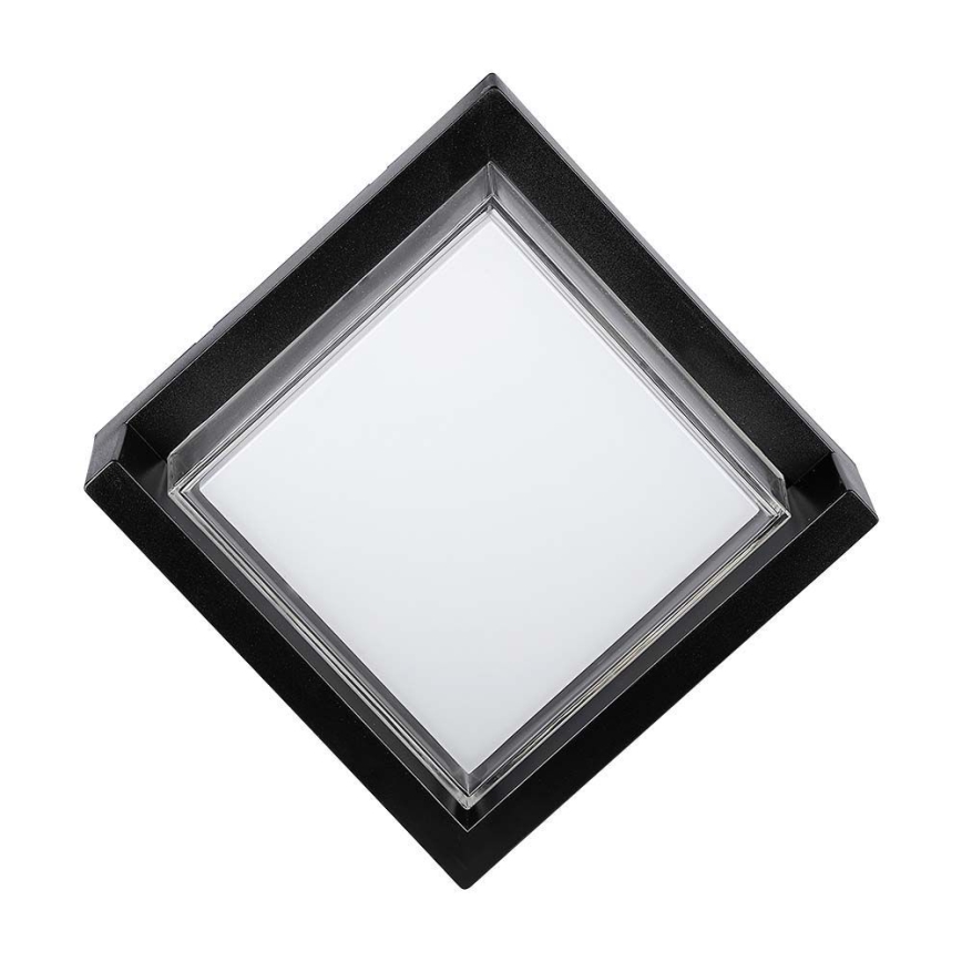 LED Spoljna zidna lampa LED/12W/230V IP65