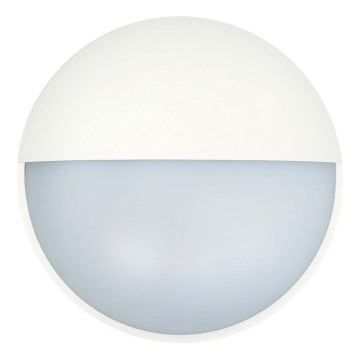LED Spoljna zidna lampa LED/14W/230V IP54 bela