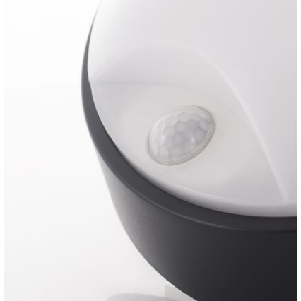 LED Zidno spoljašnje osvetljenje sa senzorom LED/14W/230V IP54