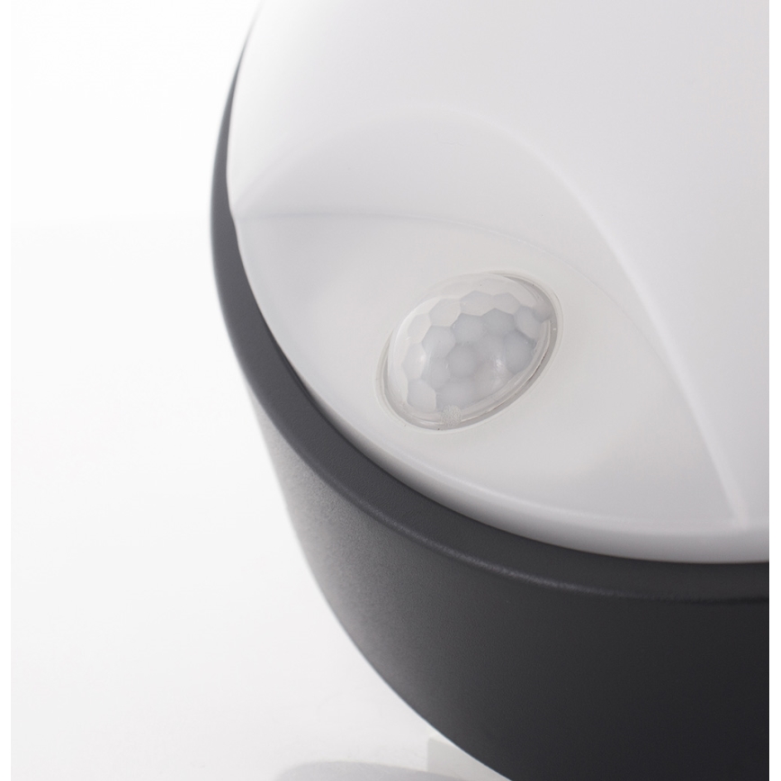 LED Zidno spoljašnje osvetljenje sa senzorom LED/14W/230V IP54