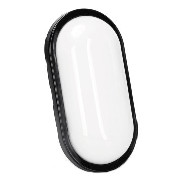 LED Spoljna zidna lampa LED/15W/230V 6500K crno IP65