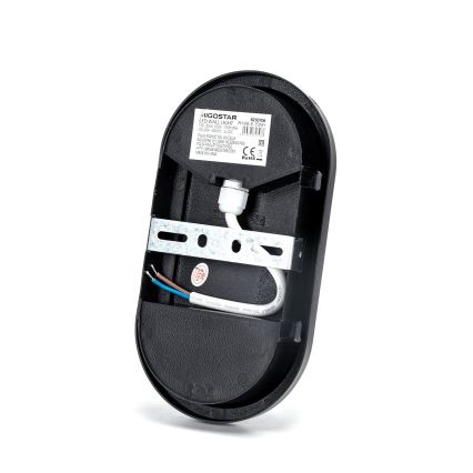 LED Spoljna zidna lampa LED/15W/230V 6500K crno IP65