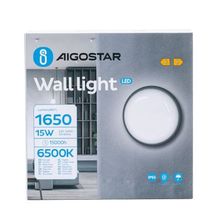 LED Spoljna zidna lampa LED/15W/230V 6500K pr. 15,5 cm crno IP65