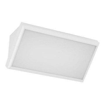 LED Spoljna zidna lampa LED/20W/230V 4000K IP65 bela