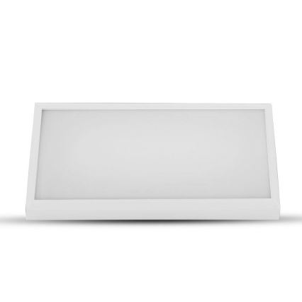 LED Spoljna zidna lampa LED/20W/230V 4000K IP65 bela