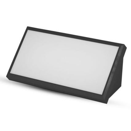 LED Spoljna zidna lampa LED/20W/230V 4000K IP65 crno