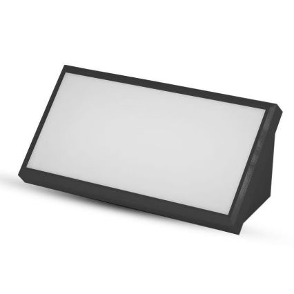 LED Spoljna zidna lampa LED/20W/230V 6400K IP65 crno