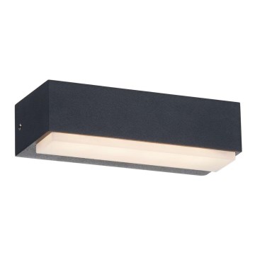 LED Spoljna zidna lampa LED/3,5W/230V IP54