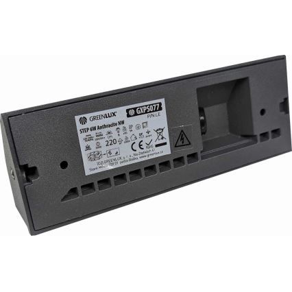 LED Spoljna zidna lampa LED/6W/230V IP54