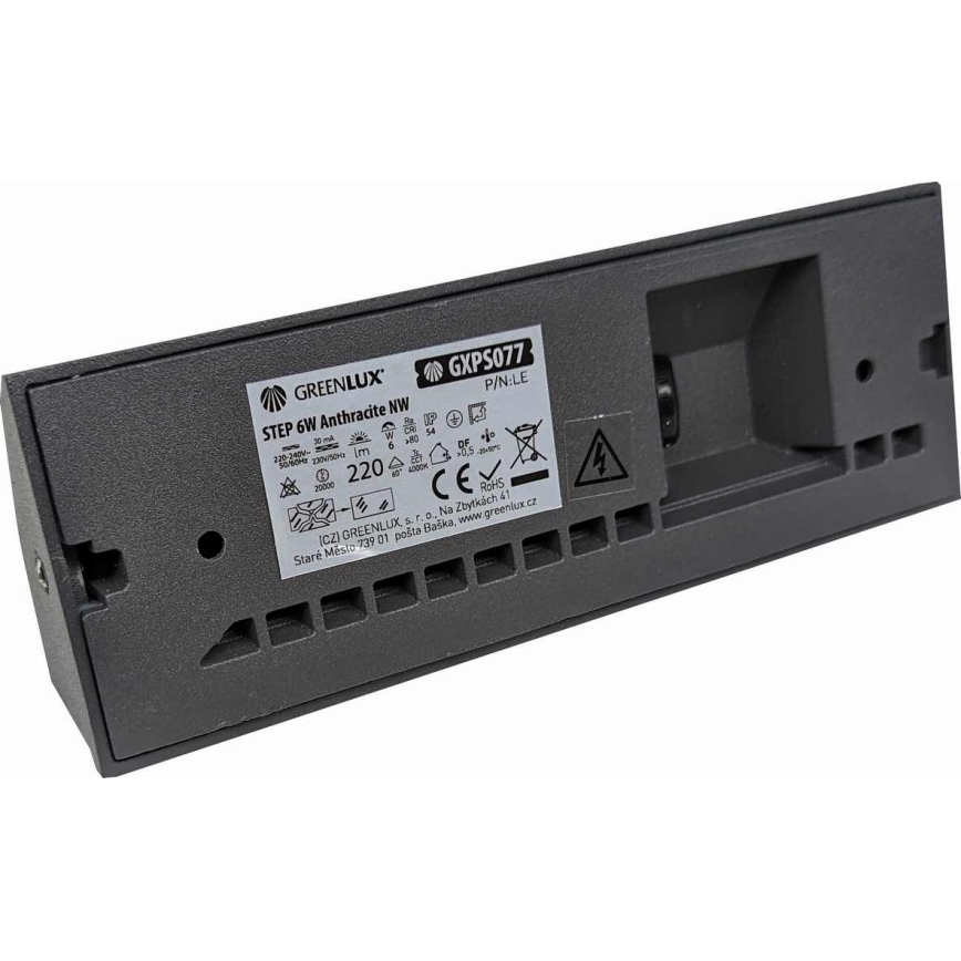 LED Spoljna zidna lampa LED/6W/230V IP54