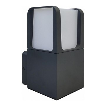 LED Spoljna zidna lampa LED/6W/230V IP54