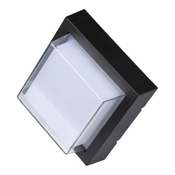 LED Spoljna zidna lampa LED/7W/230V IP65
