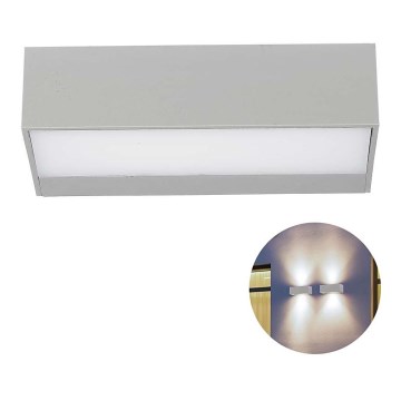 LED Spoljna zidna lampa LED/9W/230V 6400K IP65