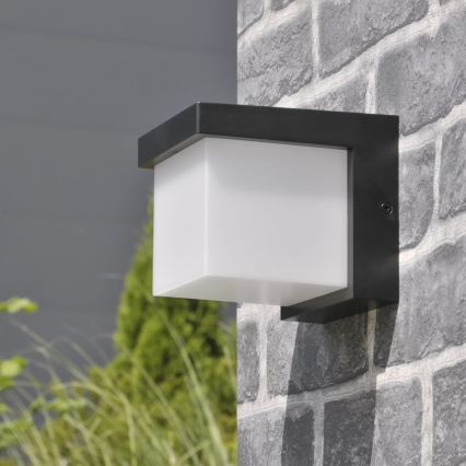 LED Spoljna zidna lampa MORGAN LED/10W/230V IP54
