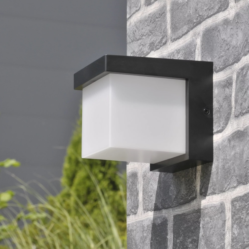 LED Spoljna zidna lampa MORGAN LED/10W/230V IP54