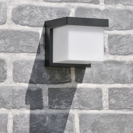 LED Spoljna zidna lampa MORGAN LED/10W/230V IP54