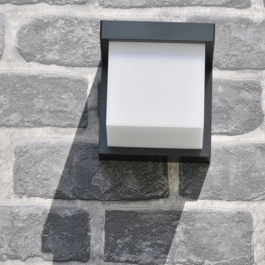 LED Spoljna zidna lampa MORGAN LED/10W/230V IP54