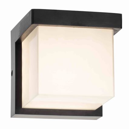 LED Spoljna zidna lampa MORGAN LED/10W/230V IP54