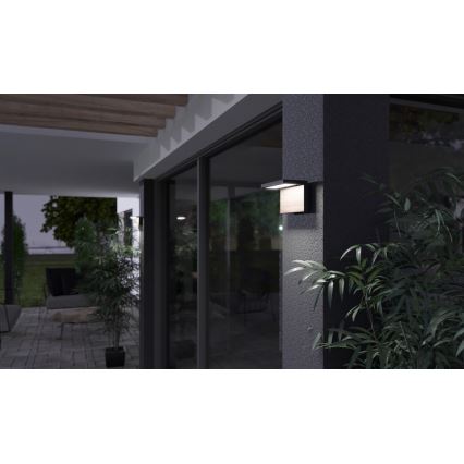 LED Spoljna zidna lampa NATURA LED/12W/230V 4000K IP65 braon/antracit