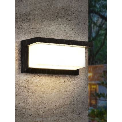 LED Spoljna zidna lampa NEELY LED/12W/230V 4000K IP54 crno