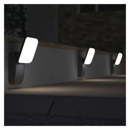 LED Spoljna zidna lampa NIKA LED/12,5W/230V IP44