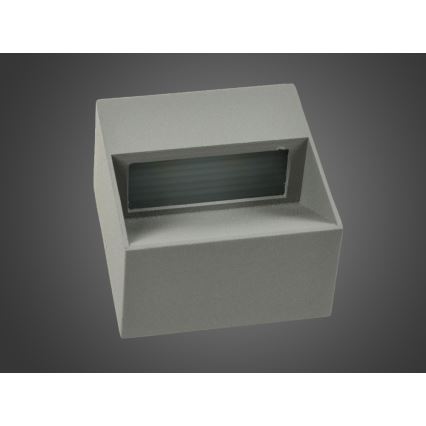 LED Spoljna zidna lampa NINION LED/2W/230V IP54
