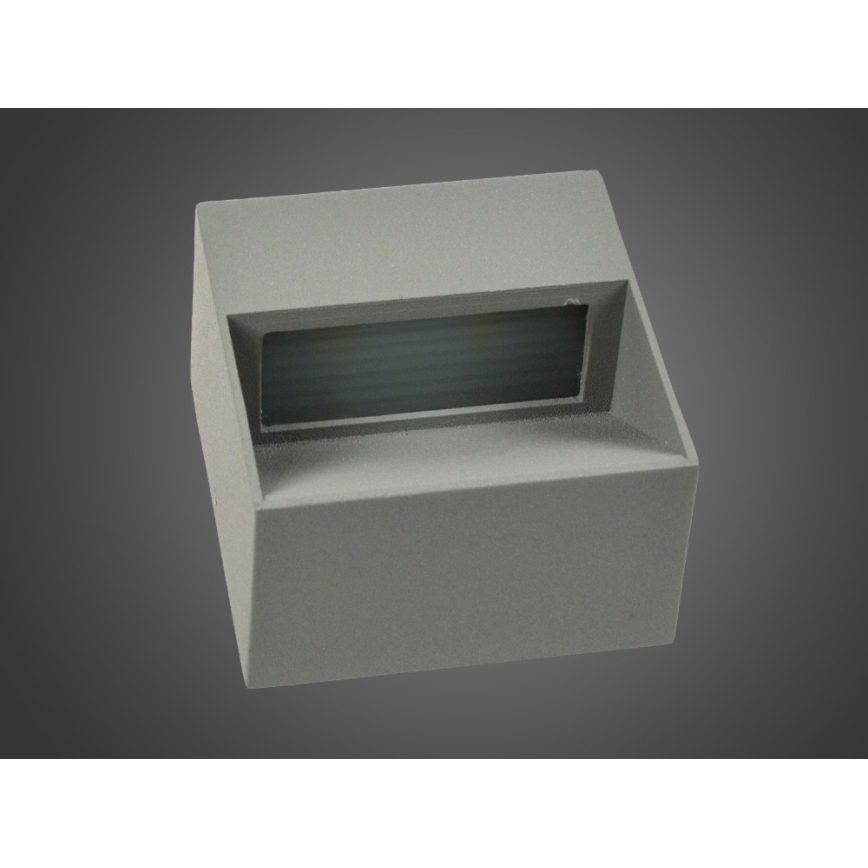 LED Spoljna zidna lampa NINION LED/2W/230V IP54