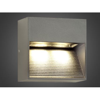 LED Spoljna zidna lampa NINION LED/2W/230V IP54