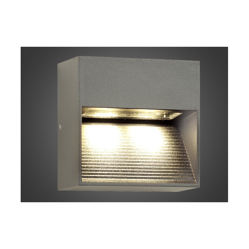 LED Spoljna zidna lampa NINION LED/2W/230V IP54