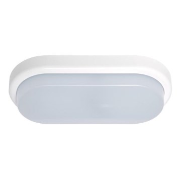 LED Spoljna zidna lampa OVAL LED/18W/230V IP54