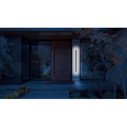 LED Spoljna zidna lampa STICK LED/36W/230V IP65 3000K 120 cm