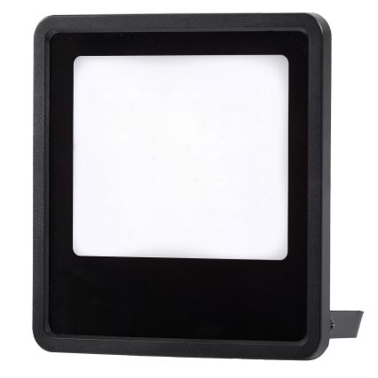 LED Spoljni reflektor LED/100W/230V 4000K IP65 crno