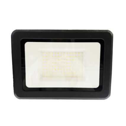 LED Spoljni reflektor LED/100W/230V 4000K IP65 crno