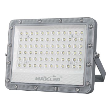 LED Spoljni reflektor LED/100W/230V 5000K IP65 sivo