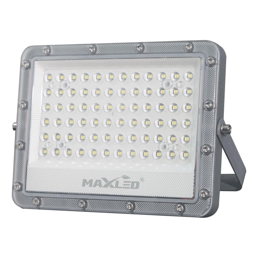 LED Spoljni reflektor LED/100W/230V 5000K IP65 sivo