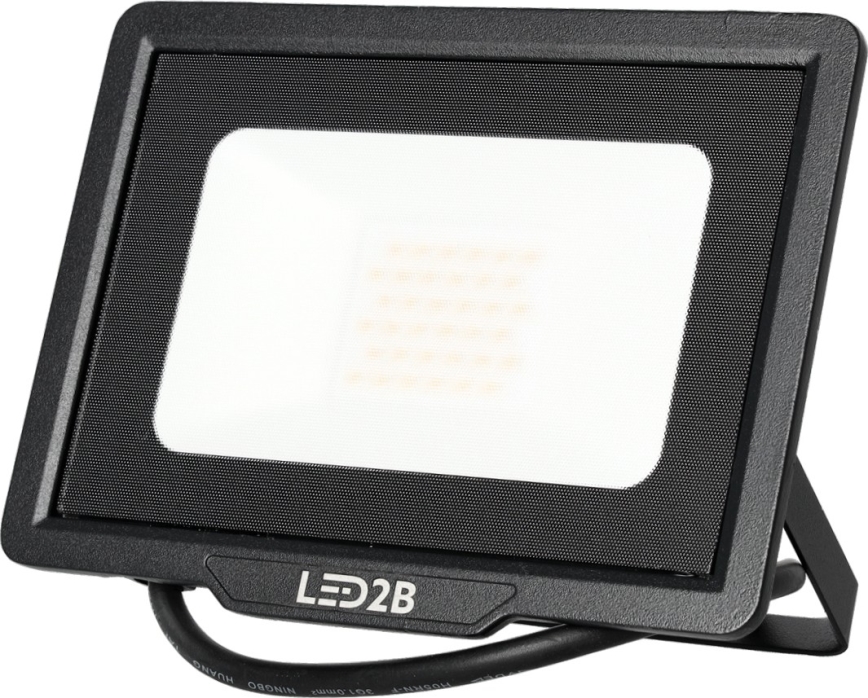 LED Spoljni reflektor LED/30W/230V 6500K IP65