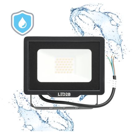 LED Spoljni reflektor LED/30W/230V 6500K IP65