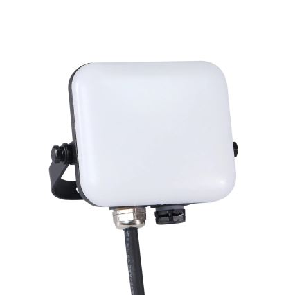 LED Spoljni reflektor MILKY LED/10W/230V 4000K IP65 crno