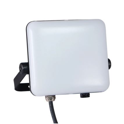 LED Spoljni reflektor MILKY LED/30W/230V 4000K IP65 crno