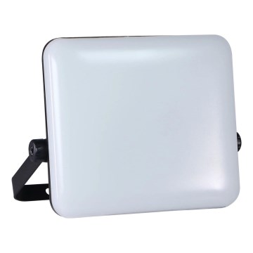 LED Spoljni reflektor MILKY LED/50W/230V 4000K IP65 crno