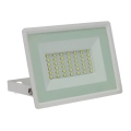 LED Spoljni reflektor NOCTIS LUX 3 LED/30W/230V 3000K IP65 bela
