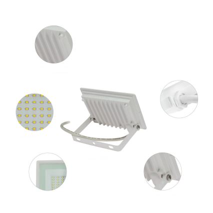 LED Spoljni reflektor NOCTIS LUX 3 LED/30W/230V 3000K IP65 bela