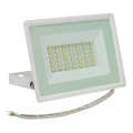 LED Spoljni reflektor NOCTIS LUX 3 LED/30W/230V 4000K IP65 bela