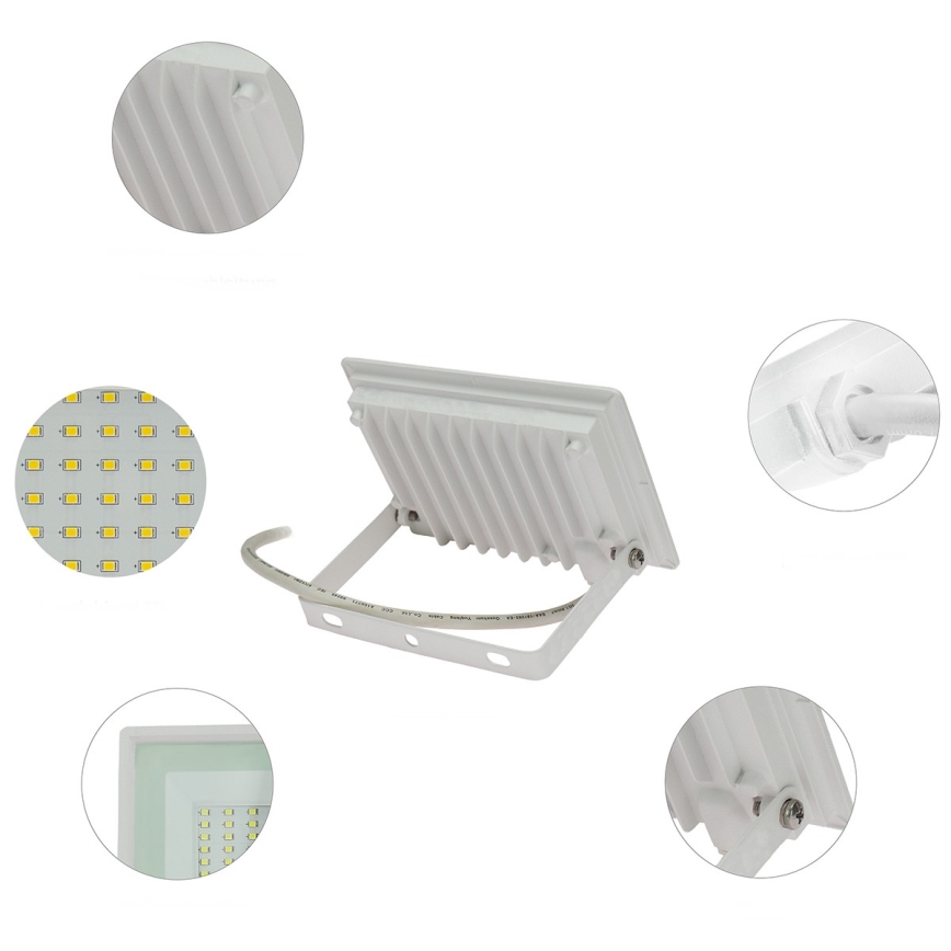 LED Spoljni reflektor NOCTIS LUX 3 LED/30W/230V 4000K IP65 bela