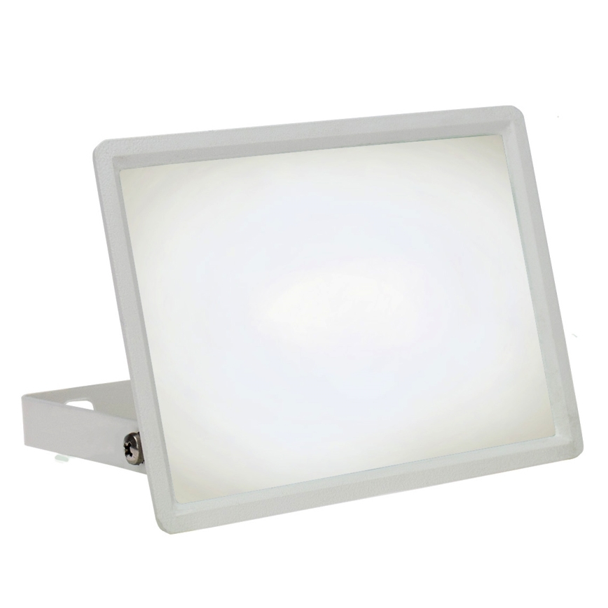 LED Spoljni reflektor NOCTIS LUX 3 LED/30W/230V 4000K IP65 bela