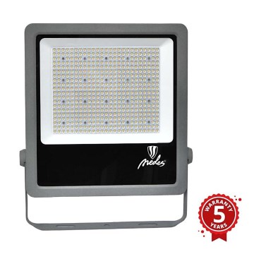 LED Spoljni reflektor PROFI PLUS LED/300W/230V 5000K IP66