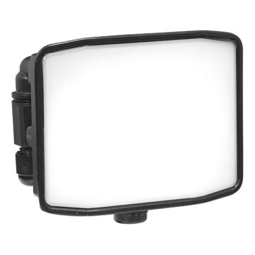 LED Spoljni reflektor ZIPO LED/10W/230V 5000K IP65 crno
